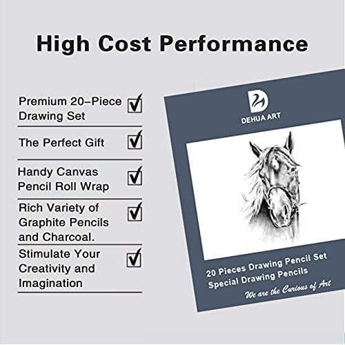 Drawing Pencils and Sketch Set Professional 20 Pieces Drawing and Sketching Pencil Set with Portable Bag Sketch Pencils Drawing Art Tool Kit (Blu