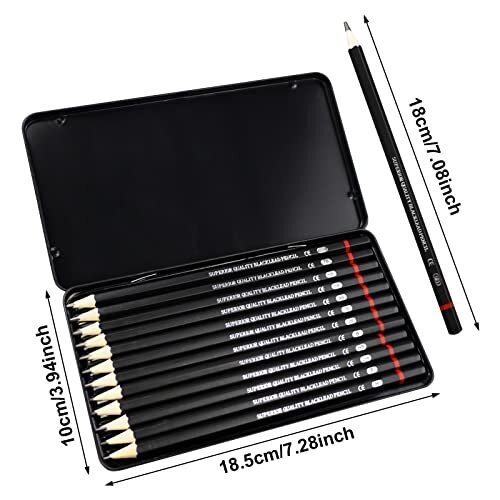 12 Pcs Drawing Pencils 8B, 7B, 6B, 5B, 4B, 3B, 2B, B, HB, F, H, 2H, Sketching Pencils with Graphite Lead